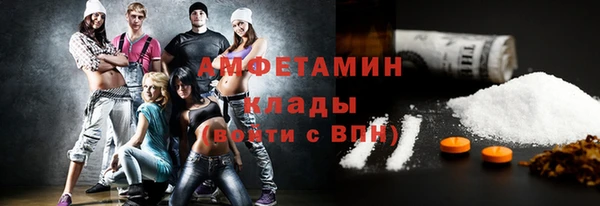 прущие грибы Горнозаводск