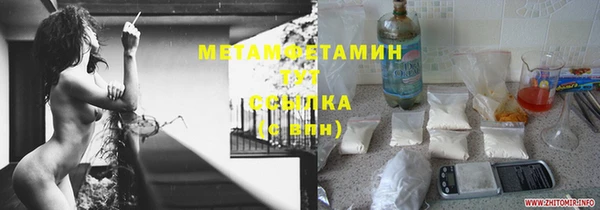 прущие грибы Горнозаводск