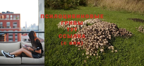 мдпв Горняк