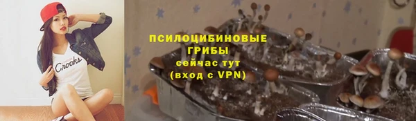 мдпв Горняк