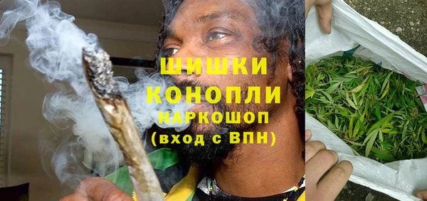 прущие грибы Горнозаводск