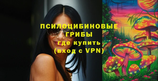 прущие грибы Горнозаводск