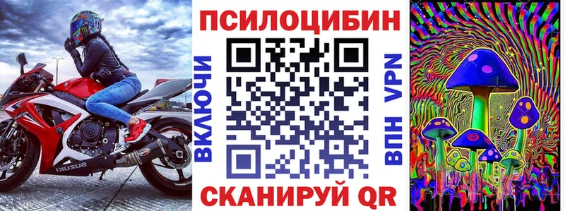 Купить где Чебаркуль Псилоцибиновые грибы MAGIC MUSHROOMS